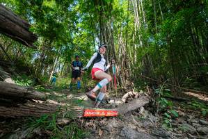 BIB: 
                            <button type="button" onclick="openModal(19392744)" class="btn btn-primary btn-sm float-right btn-popup" data-toggle="modal" data-target=".modal-high-quality">
                        <i class="fas fa-shopping-cart"></i> Add to Cart
                    </button>
                                            <button type="button" onclick="isThisMe(19392744, true)" class="btn btn-success btn-sm float-right btn-popup btn-isme hidden" data-toggle="tooltip" data-placement="bottom" title="นี่คือรูปของคุณใช่ไหม คลิกที่นี่เพื่อเอาเข้าอัลบั้ม">
                        <i class="fas fa-plus"></i> Add to album
                    </button>
                    <button type="button" onclick="isThisMe(19392744, false)" class="btn btn-warning btn-sm float-right btn-popup btn-isnotme hidden">
                        <i class="fas fa-ban"></i> Remove from album
                    </button>